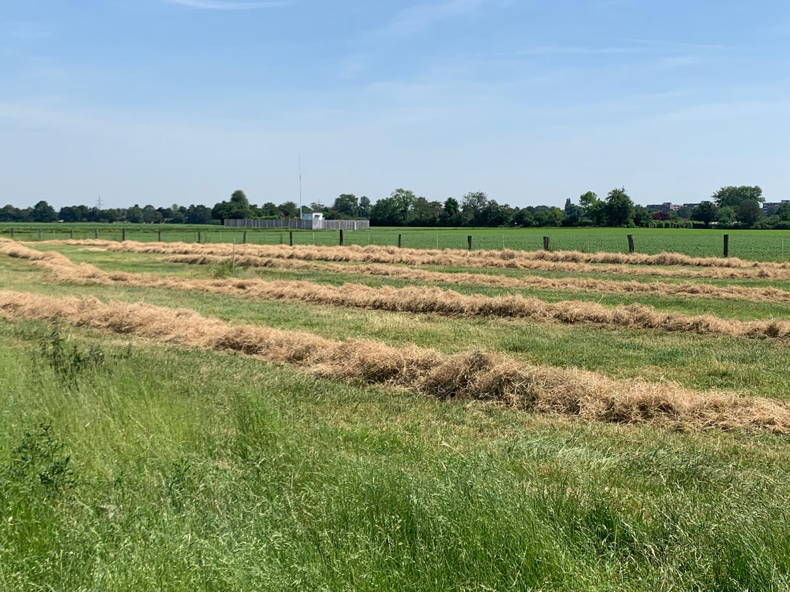 Eindruck vom Schmeddershof